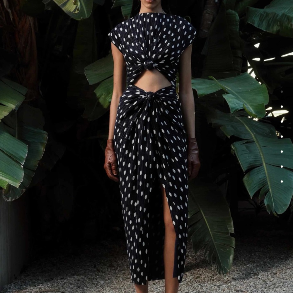 Cult Gaia Aira polka dot-pattern midi dress